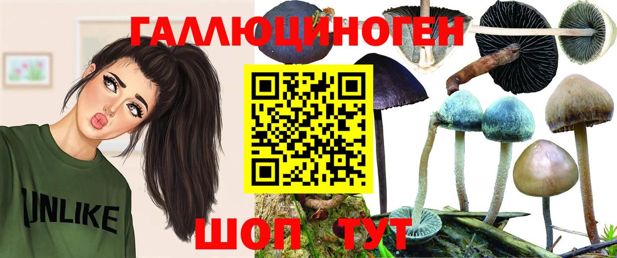 Менделеевск  Псилоцибиновые грибы Psilocybine cubensis  где купить   Вход с VPN 